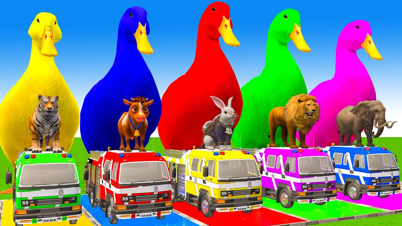 5 Giant Duck Cartoon,Cow,Elephant,Tiger,Lion,Dinosaur,Paint Wild Animals Crossing Fountain Animation