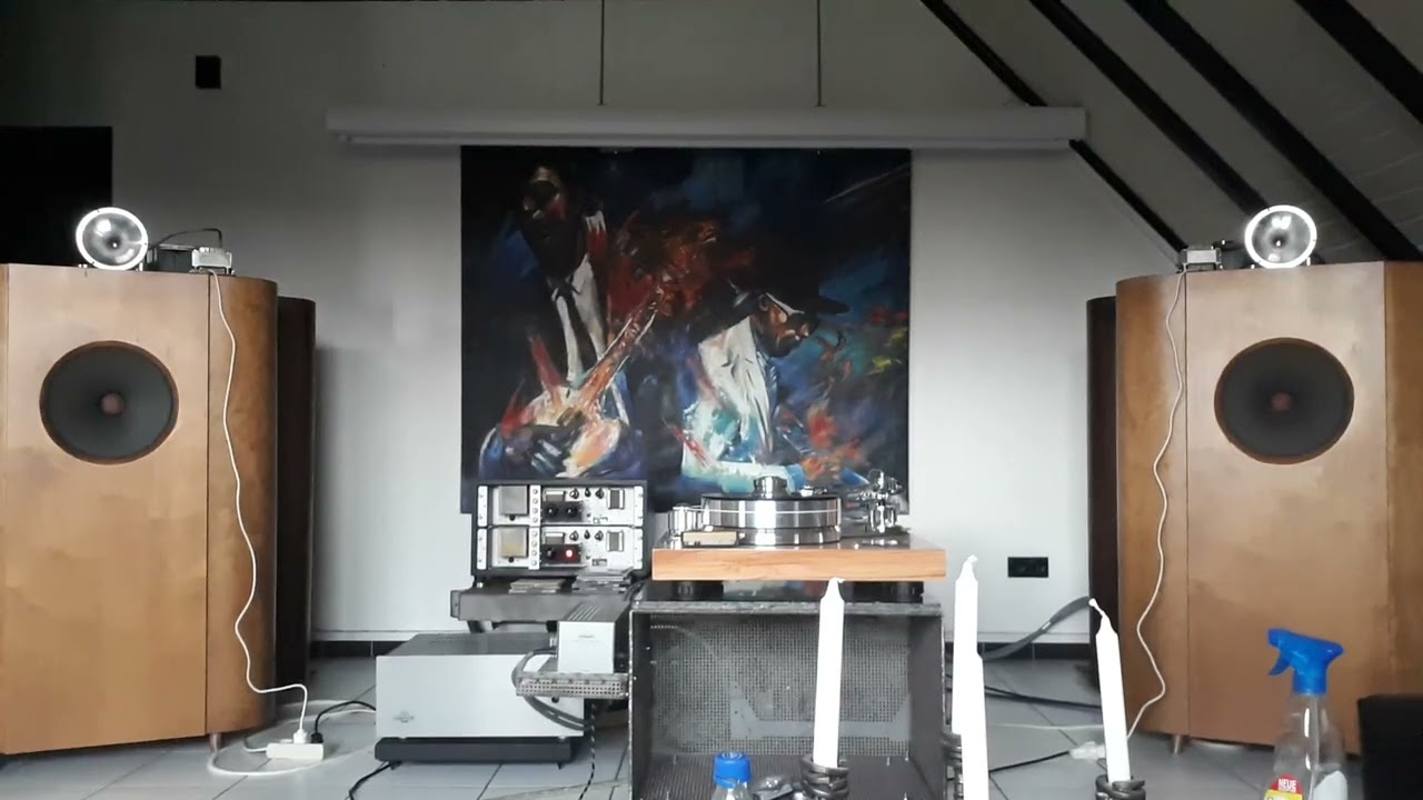 Pro-ject Signature 12, Tonabnehmer Jico Seto Hori, Phonovorverstärker Line Magnetic LP-33.