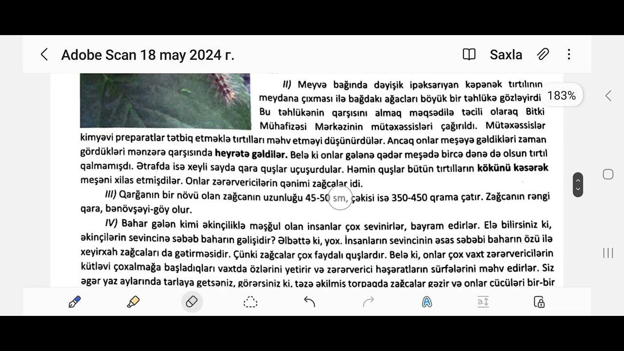 4-cü sinif monitorinq Azərbaycan dili suallarının dügün cavabları. 18 may 2024