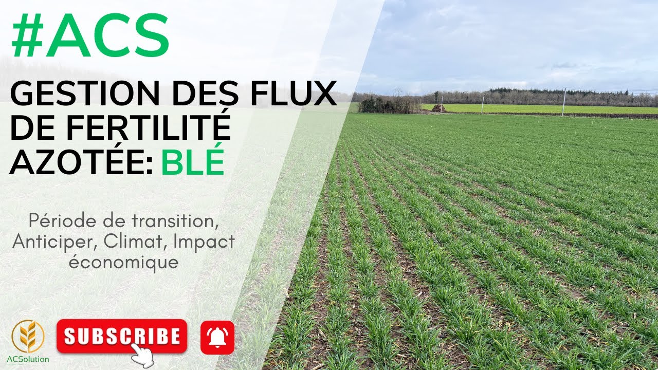 Gestion des flux d'azote sur blé en ACS