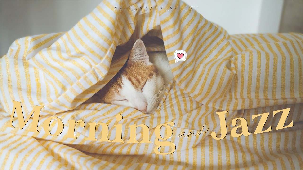 Playlist | 아늑한 고양이와 함께하는 아침 재즈 ☀️🎶 차분한 시작을 위한 부드러운 음악 | Morning Jazz
