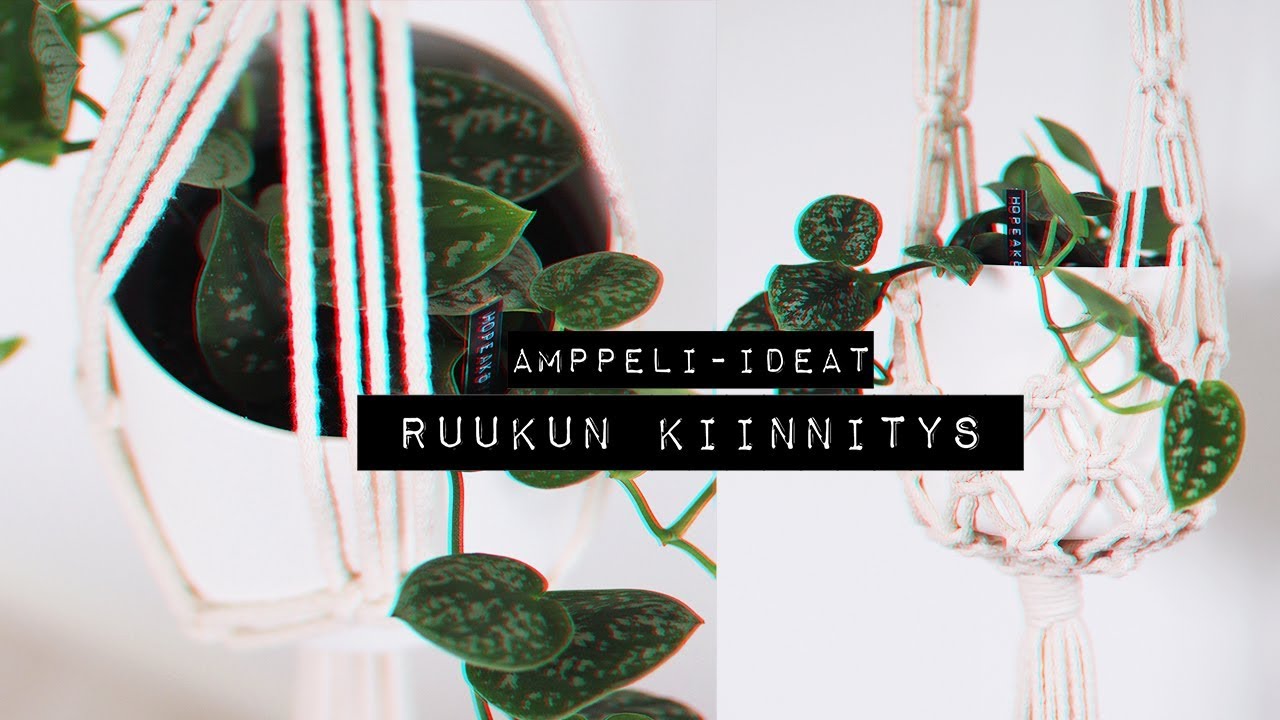 AMPPELI-IDEAT || OSA 4