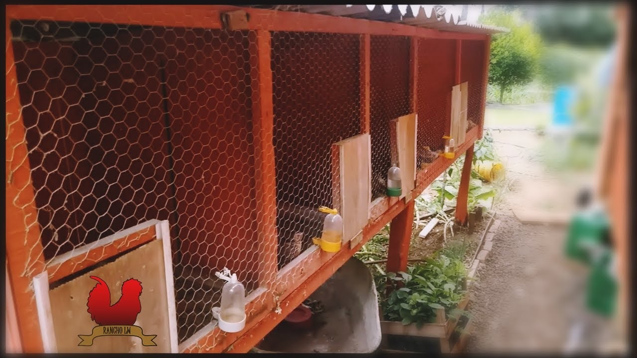 CONSTRUINDO UM VIVEIRO PARA PINTINHOS E CODORNAS