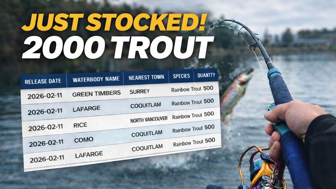 2000 TROUT Just Hit These BC Lakes&hellip; Fishing Is About to Go Crazy