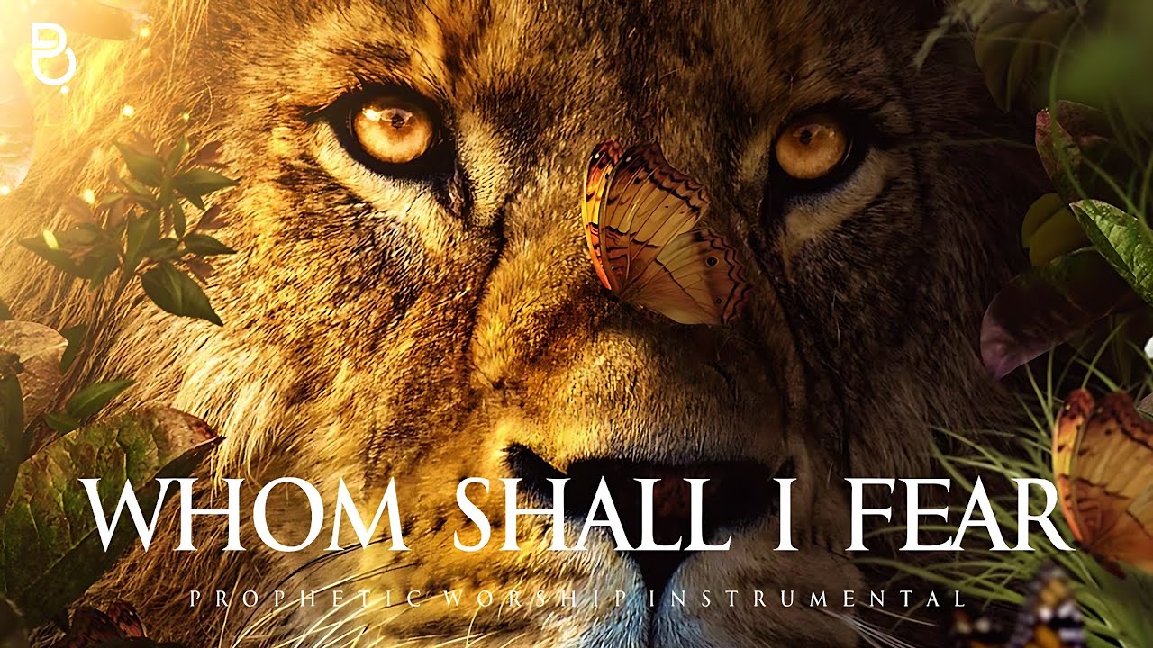 The LORD is my light and my salvation | Prophetic Worship Music Instrumental