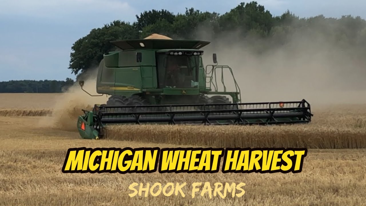 Michigan  Wheat Harvest 2021