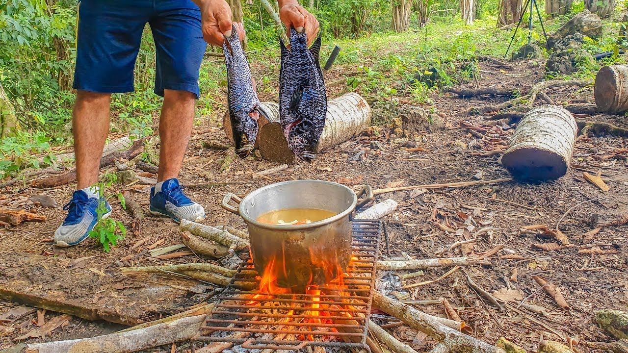 Cocina de Pescados Guapotes En Caldo Pesca y Cocina