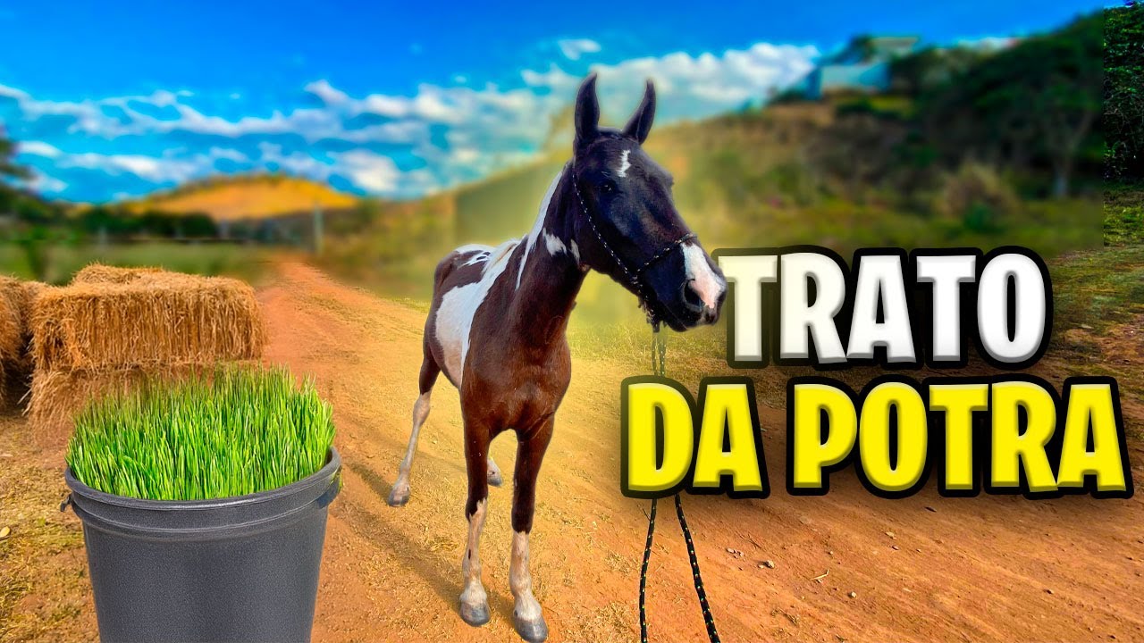 24 HORAS TRATANDO da MINHA POTRA IMPERATRIZ