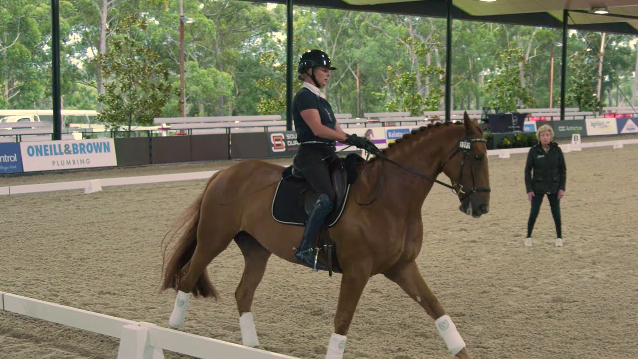 Part 1 of Excellence in Coaching with Rozzie Ryan and Sam Bartlett riding AB Final Romance