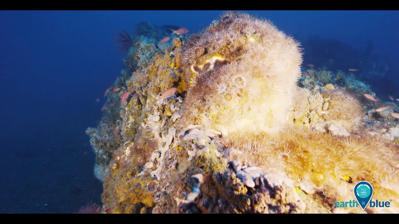 Your National Marine Sanctuary System