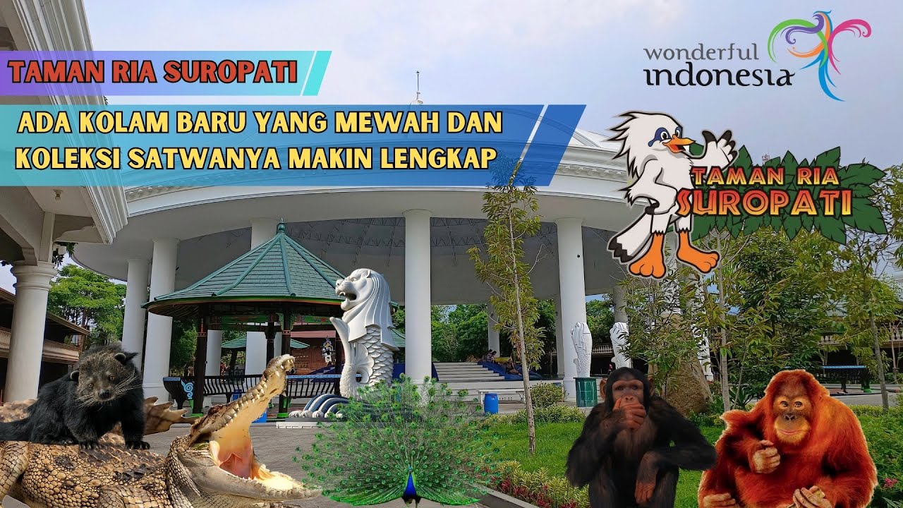 Taman Ria Suropati : Kolam Baru yang Bikin Liburan Makin Seru #kolamrenangsuropati #wisatapasuruan