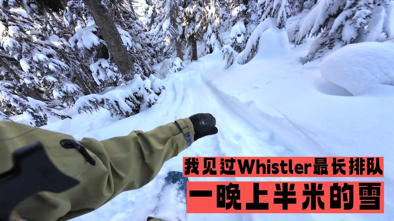 Whistler的冬天终于来了！北美滑雪的精髓是树林！就是这次滑雪成本太高了