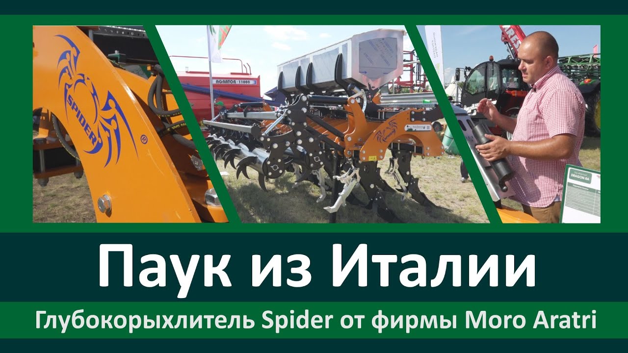 Паук из Италии Moro Aratri