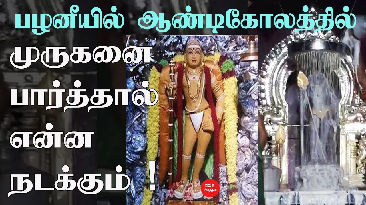 பழனியில் ஆண்டி கோலத்தில் முருகனை பார்த்தால் என்ன நடக்கும் ? | Abishekam | Palani Murukan | ஆன்மிகம்