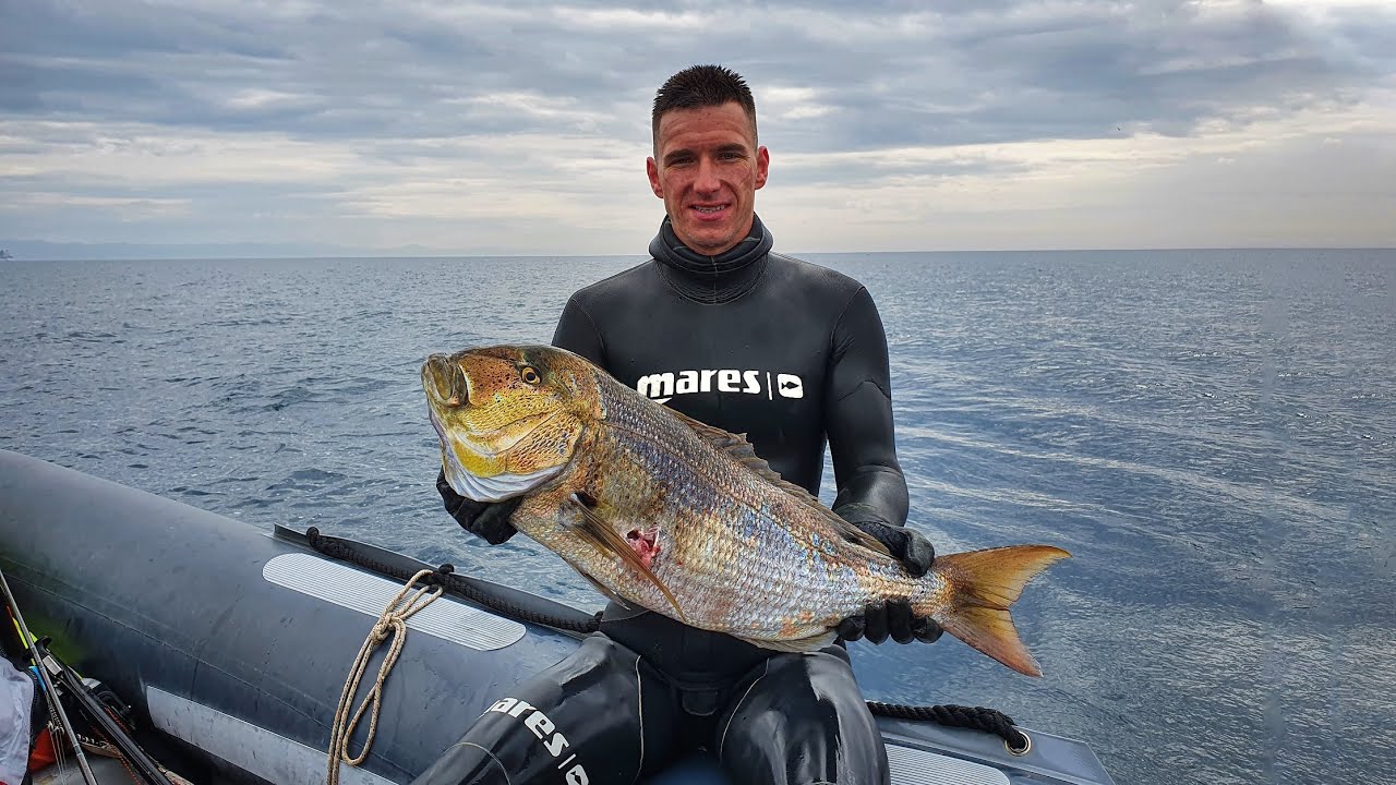 Pesca Sub: DENTICE 7 Kg - Liguria