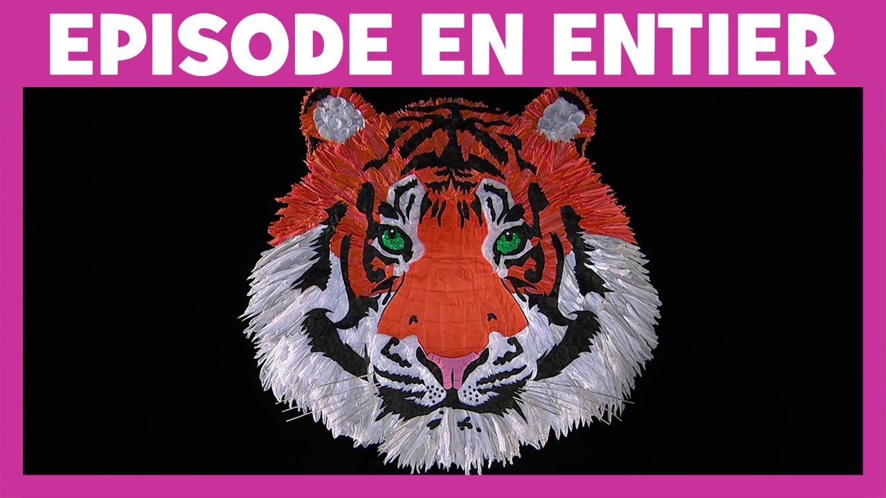 Art Attack - Big Art spécial recyclage - Disney Junior - VF