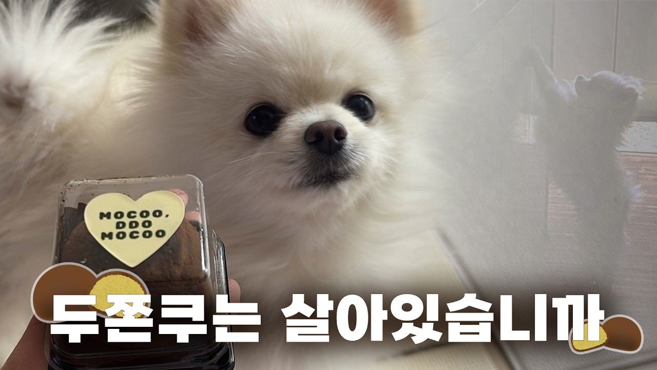 두쫀쿠는 살아있습니까