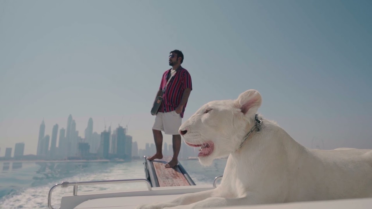 lion in Dubai