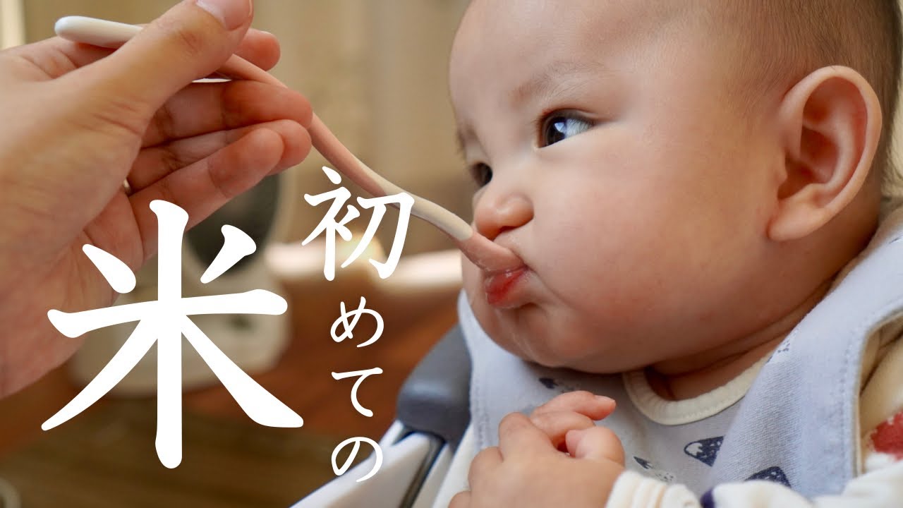 【離乳食】人生初めての米はまさかの毒入り！？