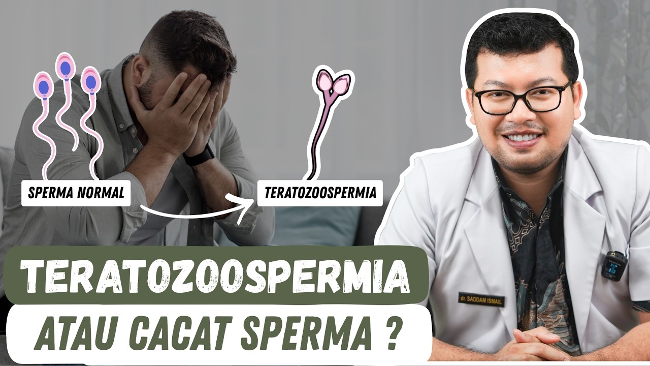 Teratozoospermia atau Kelainan Bentuk Sperma- DOKTER SADDAM ISMAIL