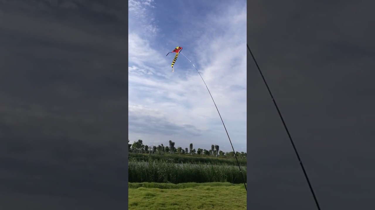 Crop bird Scaring Hawk Kite