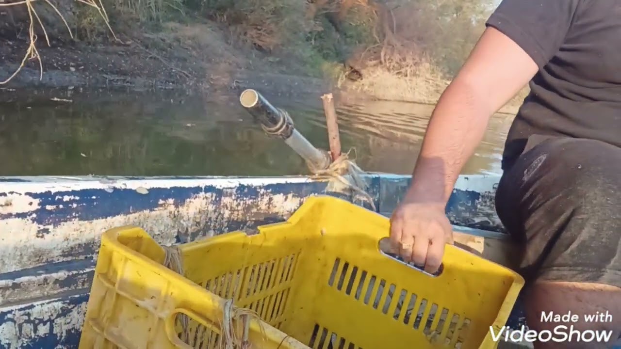 Ψάρεμα στον Πηνειό ποταμό στη Φαλάνη