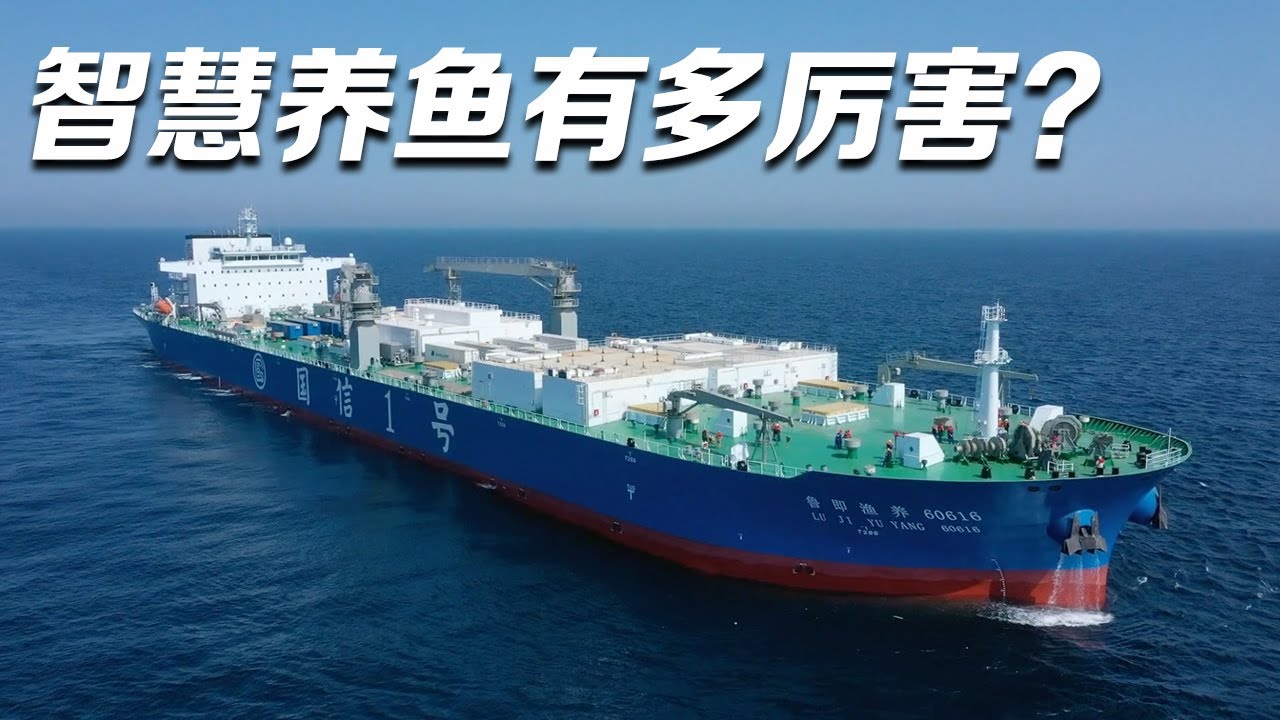 &ldquo;渔业养殖航母&rdquo;！100秒看智慧养鱼有多高级 经它养殖的大黄鱼活力十足！| 三农小课堂
