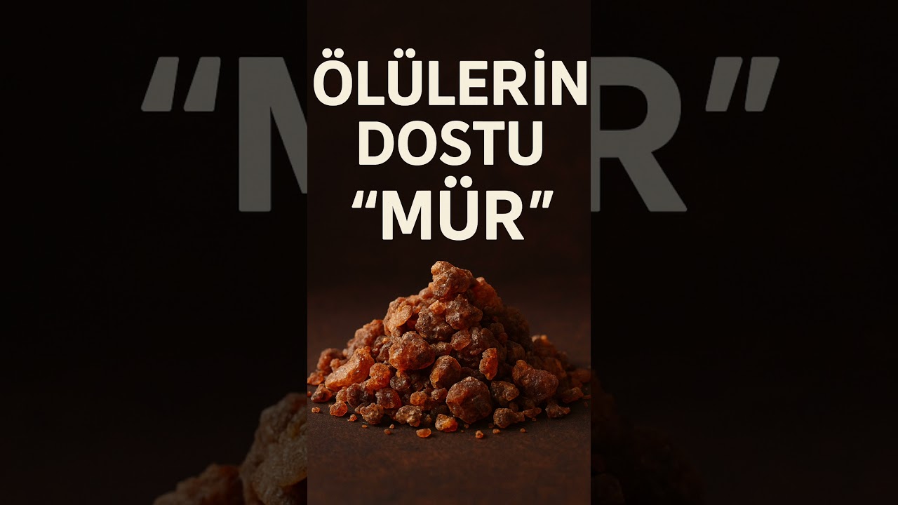 M&uuml;r; &Ouml;l&uuml;m ile Sonsuzluk Arasında