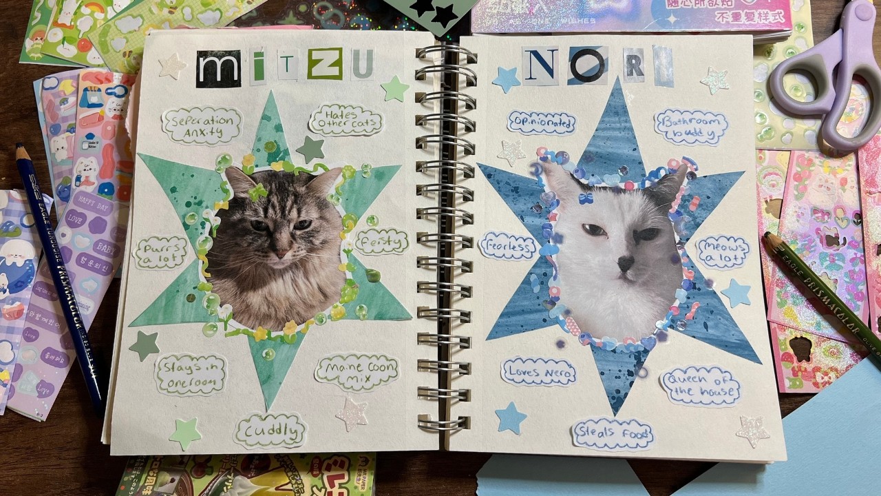 Journal with me | pet profile scrapbook | maximalist realtime sketchbook spread