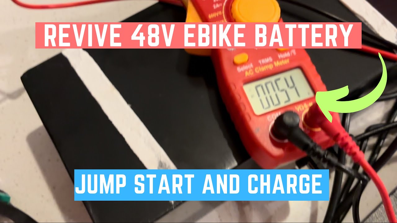 How to Revive a Dead 48v Electric Scooter / Ebike Battery