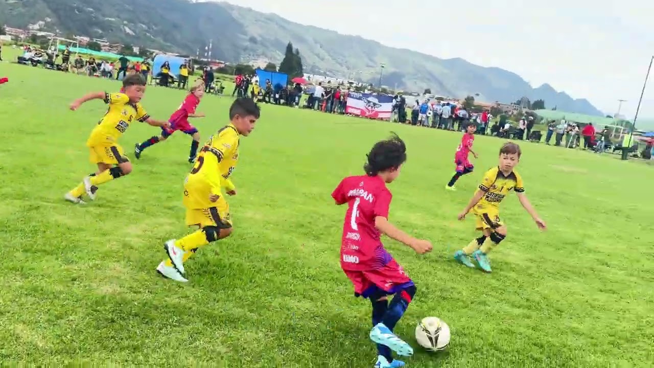 DBS APERTURA 2026 CAT 2017 FORTALEZA 2018 VS ORINEGRO
