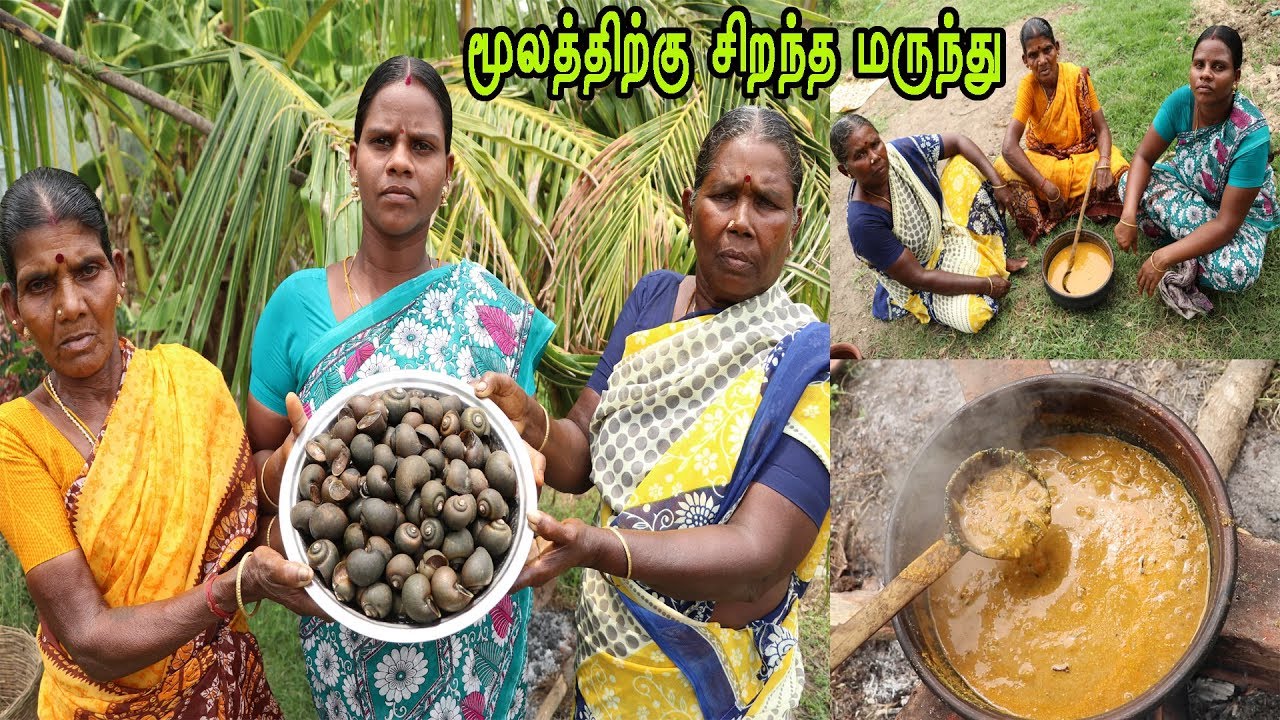 மூலம் , மூலசூட்டுக்கு  சிறந்த மருந்து  அரைத்துவிட்ட ஏரி நத்தை கிரேவி / Snail Gravy  / Nathai Cueey