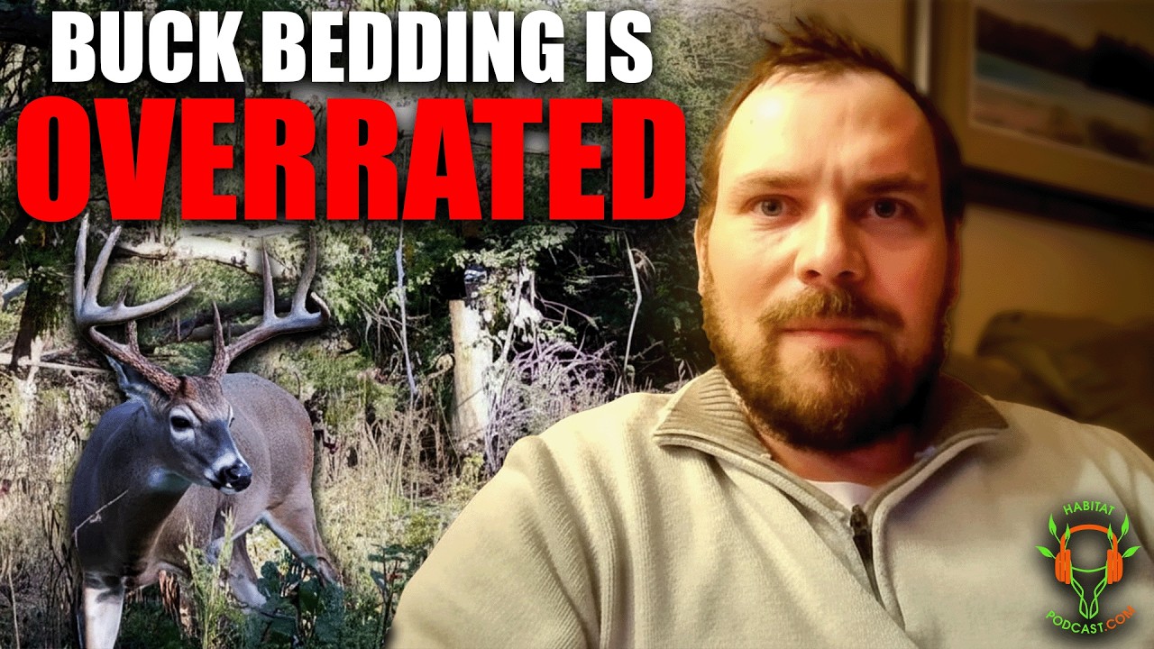 Do Mature Bucks Actually Use Hinge Cut Bedding? with Sam Tumberg
