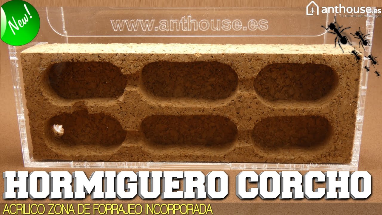 HORMIGUERO DE CORCHO 20x10x10 de Anthouse.es hormiguero hecho a mano NOVEDAD!