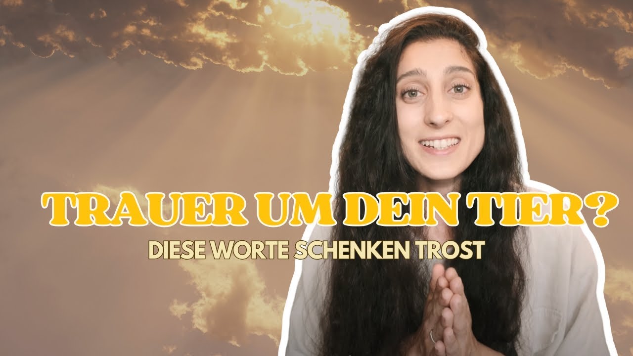 Wenn dein Tier gegangen ist – Diese Botschaft soll dir Trost schenken