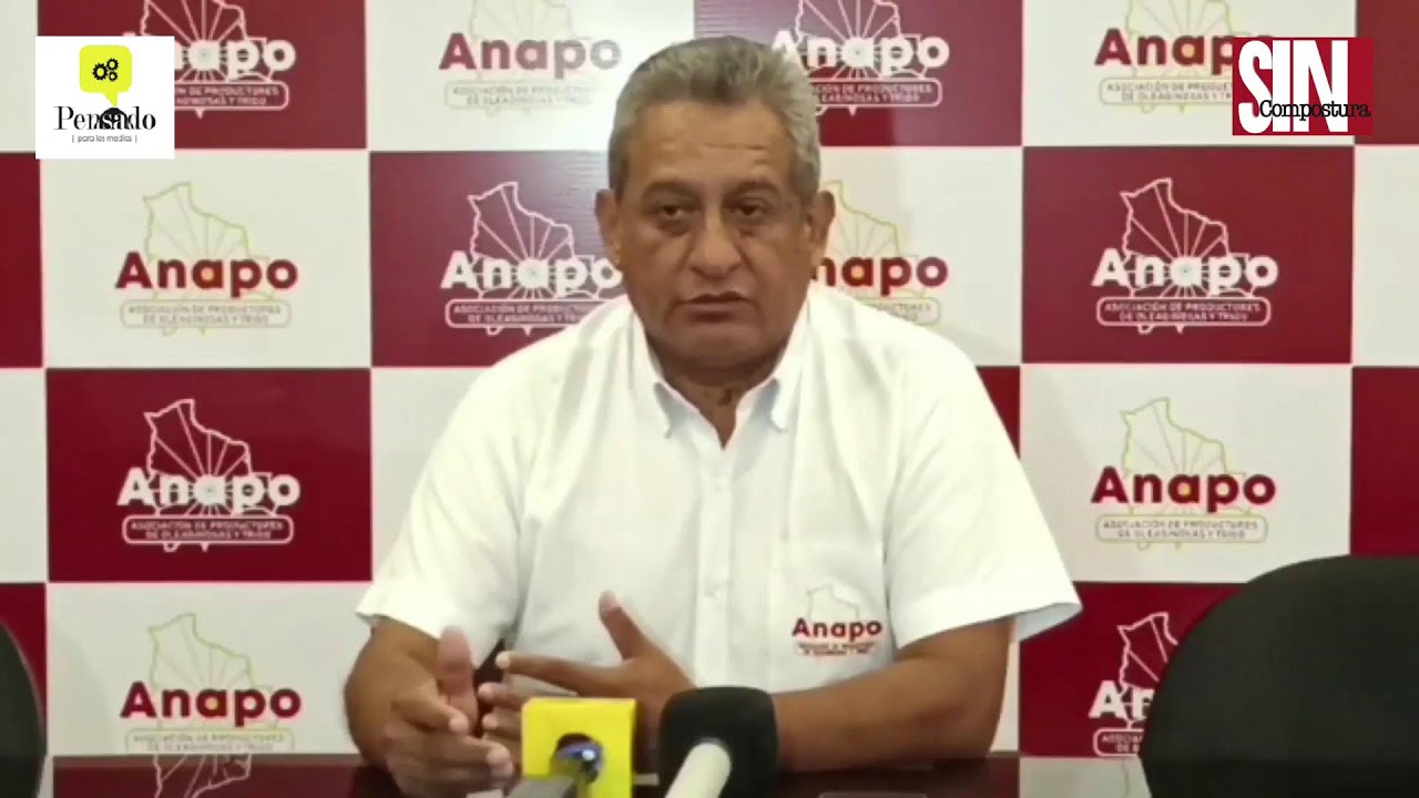 Carlos Valverde en la red/4 - AFECTACIONES POR LAS LLUVIAS PARA EL AGRO - 19 marzo 2026