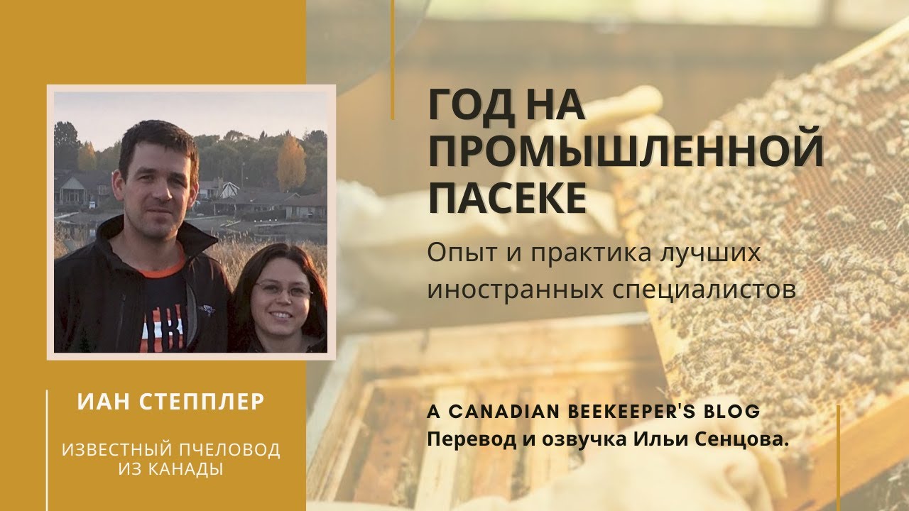 Иан Степплер: Год на промышленной пасеке (Канада)