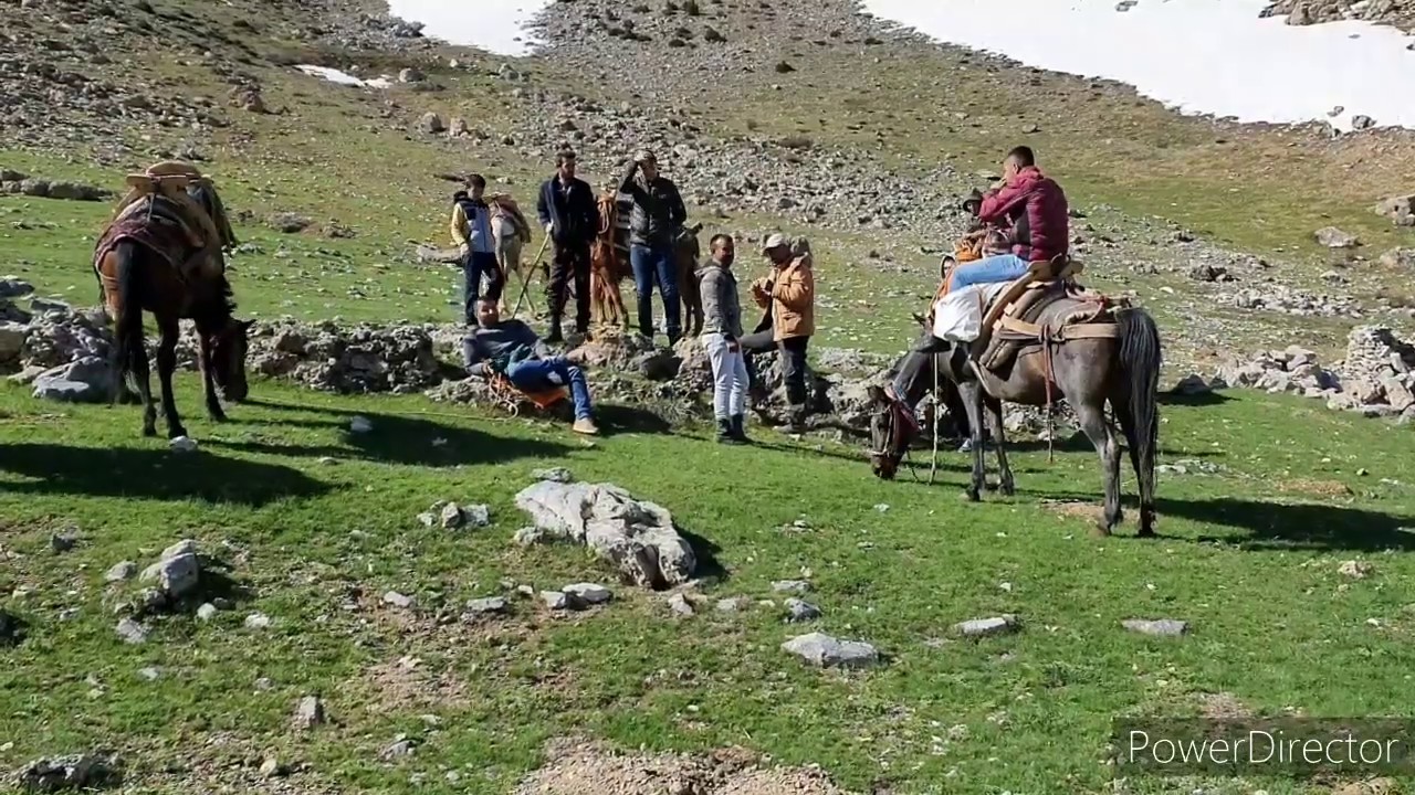 AFŞİN SERKİZÇAY (TÜRKÇAYIRI) KÖYÜ  ÇİRİŞ TOPLAMA VE DAĞITMA EKİBİ !