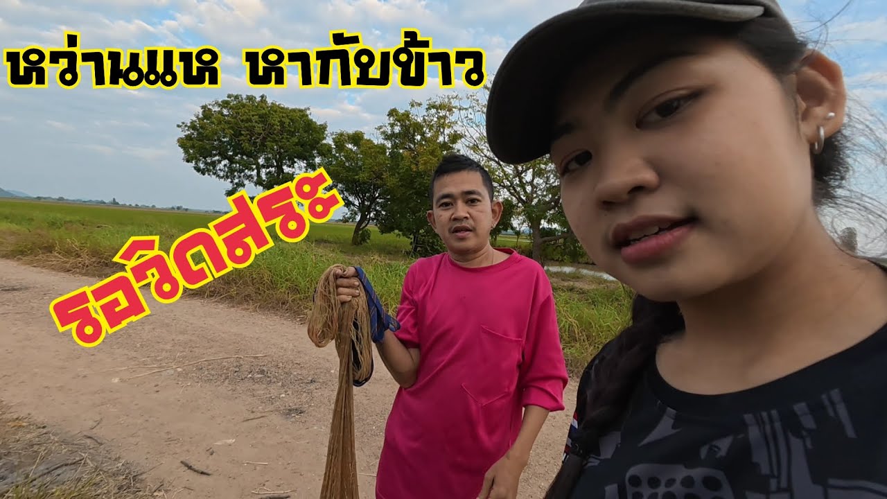 หว่านแหหาปลารอวิดสระ