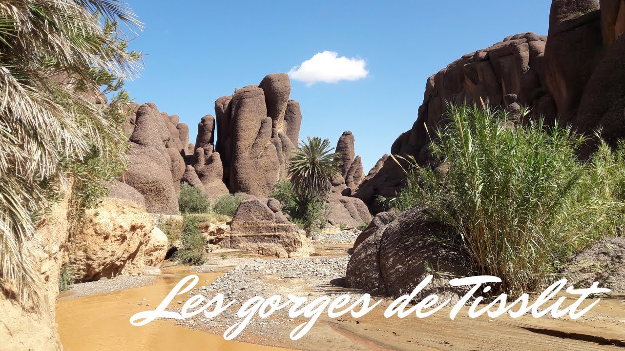 De Taroudant à Taliouine, ville du Safran, le grenier d'Ifri et les gorges de Tisslit (Maroc, 2019)