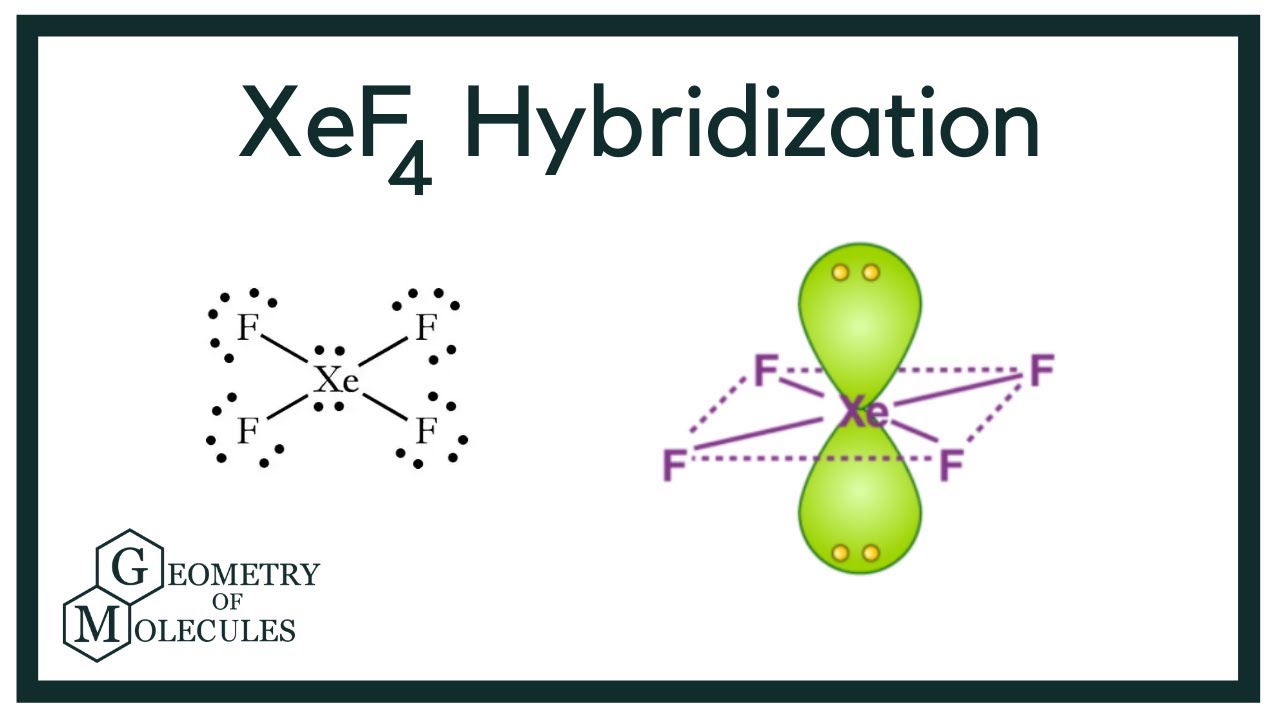 Hybridization of XeF4 (Xenon Tetrafluoride)