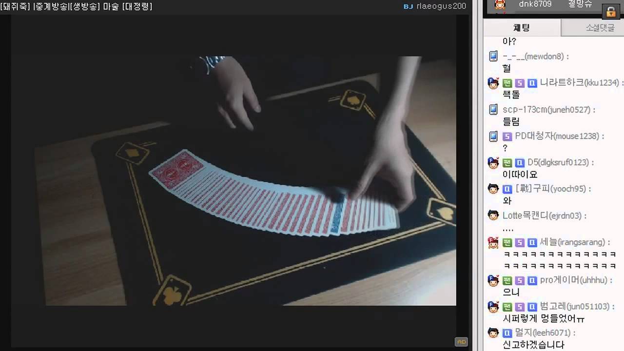 [PD대정령] 카드마술 CardMagic