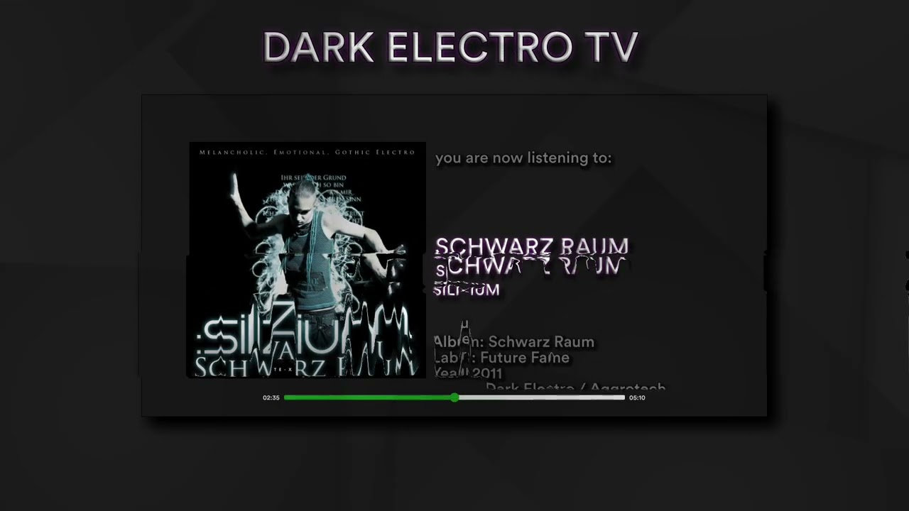 Silizium - Schwarz Raum (Dark Electro / Aggrotech) (2011)