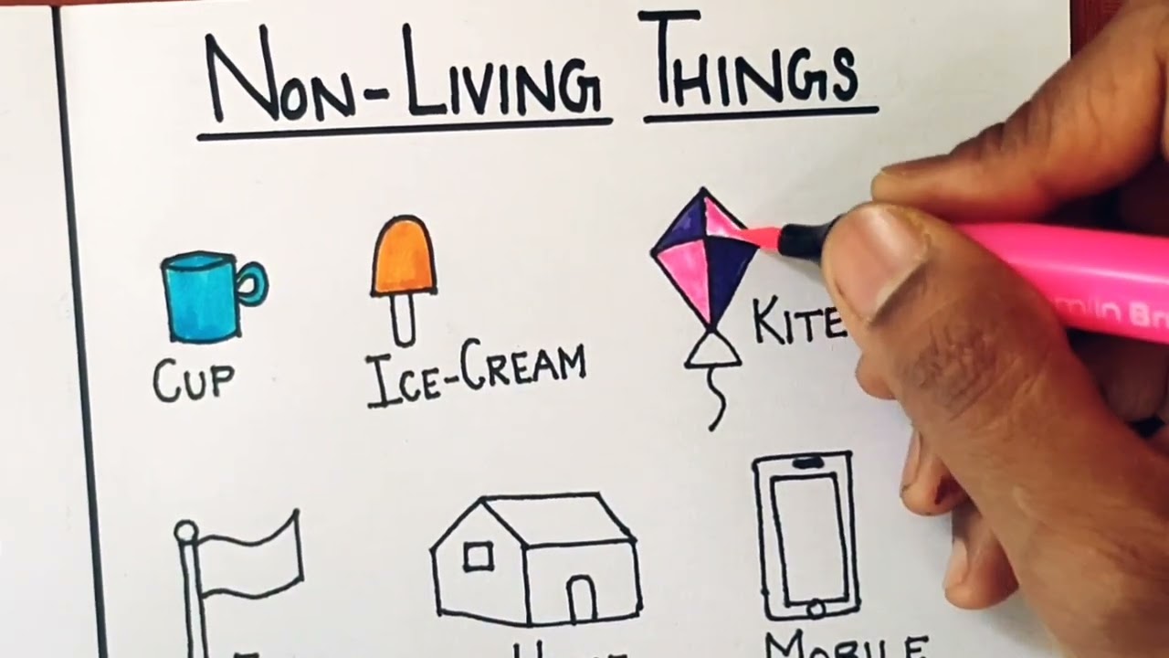 10 non living things drawing