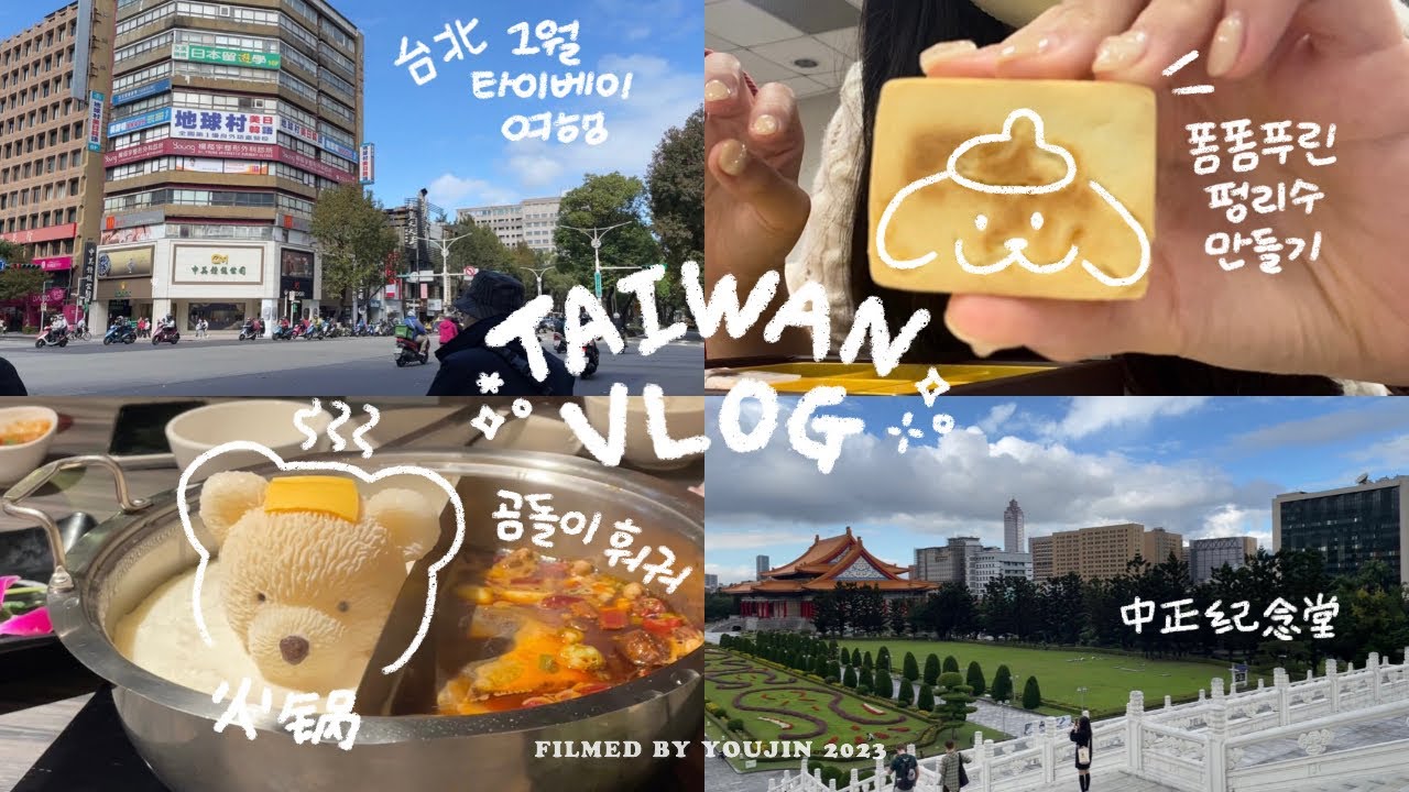 대만 타이베이 브이로그 🇹🇼 | 1월 대만 날씨 | 중정기념당 | 융캉제 | 펑리수 만들기 | 타이베이 101 | 딘타이펑 | 야시장 | 돈키호테 | 지우펀 | 곰돌이 훠궈