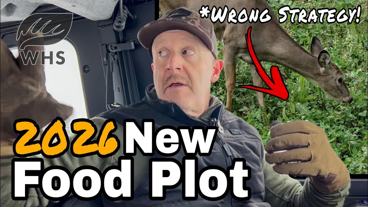 New Big Food Plot And Strategy | My Mistake!