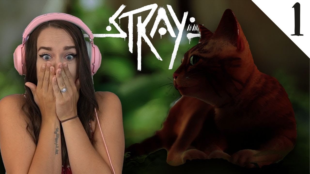 SCAR, BROTHER - Stray: Pt. 1 - First Play Through - LiteWeight Gaming
