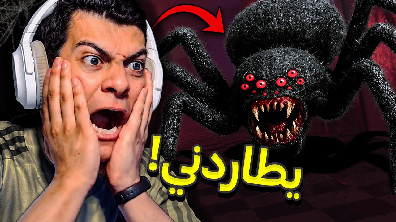 عنكبوت ضخم يطاردني!😭