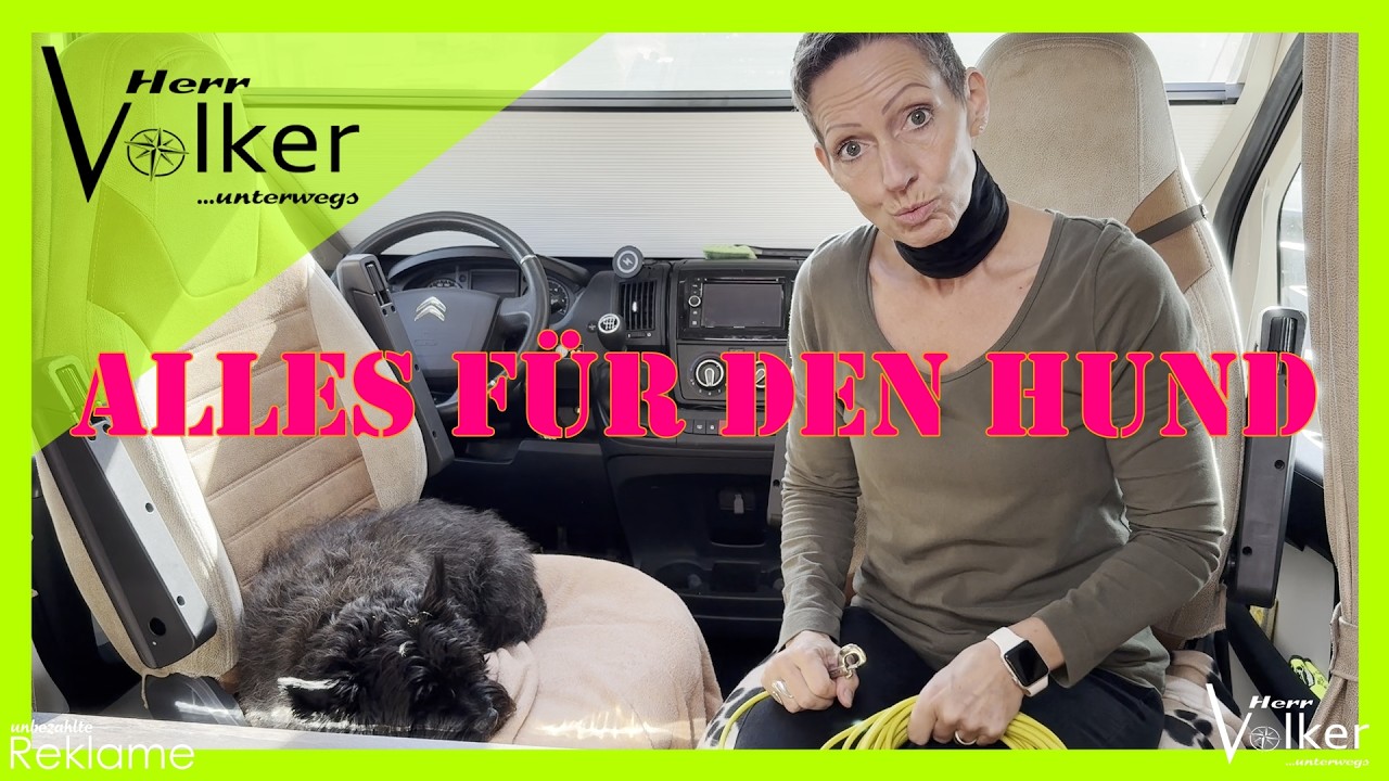 Mit dem Hund im Reisemobil | Camping mit Hund