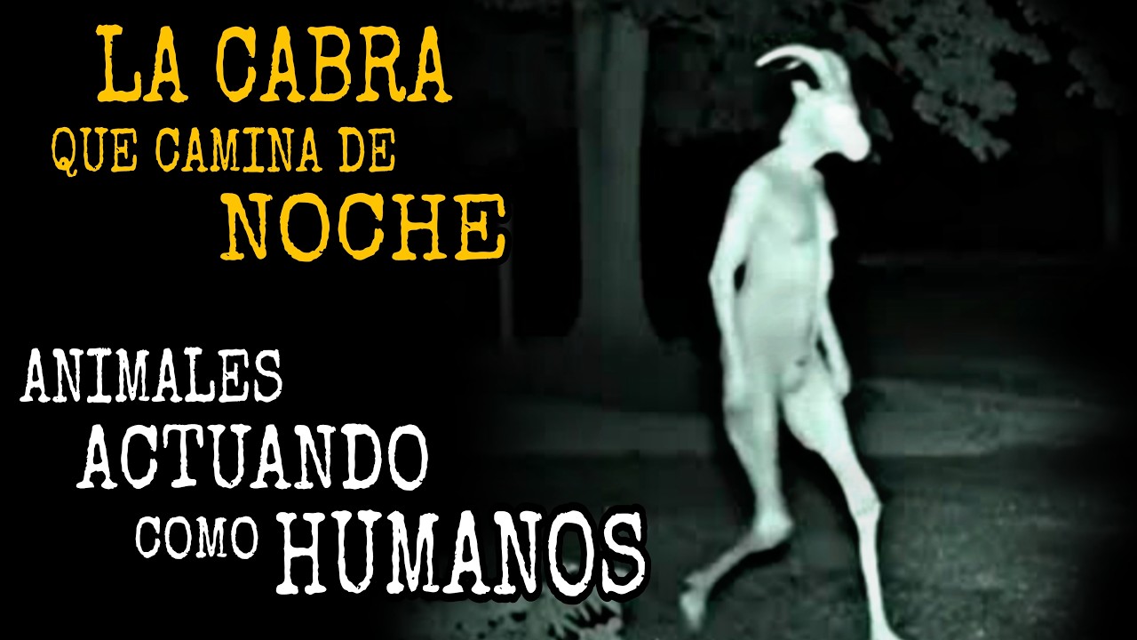 Animales de Campo Actuando como Humanos / Relatos de Horror